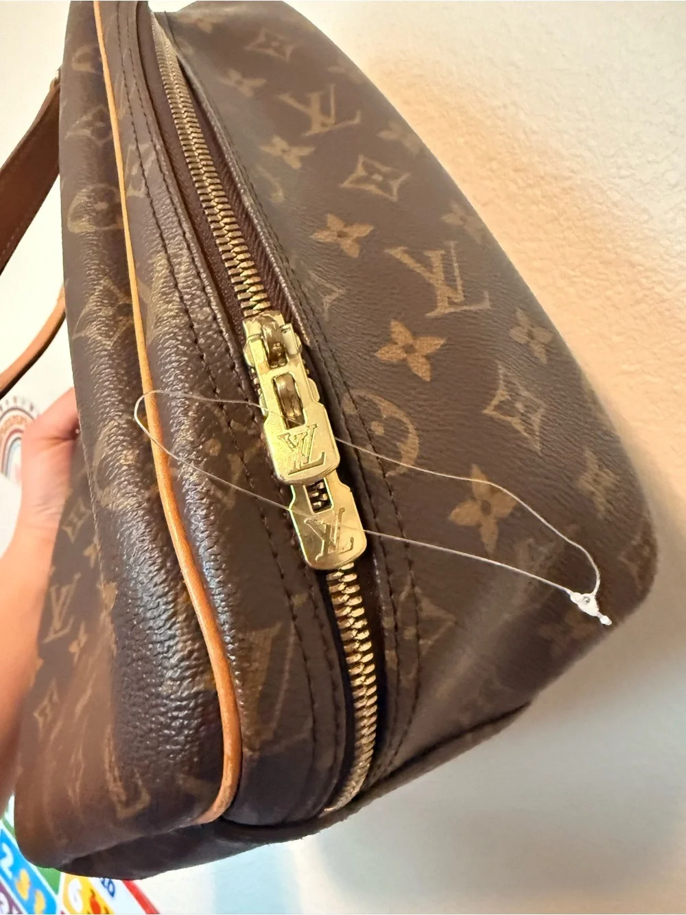Louis Vuitton Monogram Excursion Shoe Bag